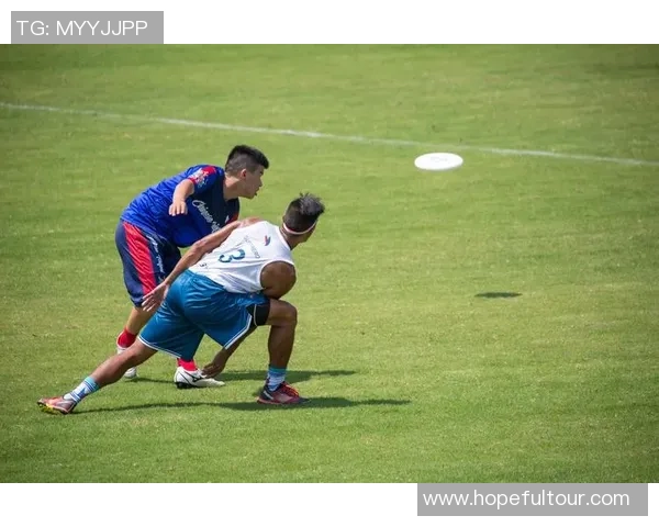 飞盘战术解析：南京飞盘队如何在防守与反击中取得优势MBA