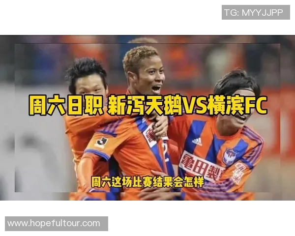 新泻天鹅迎战动静FC两队争夺赛季关键胜利的精彩对决