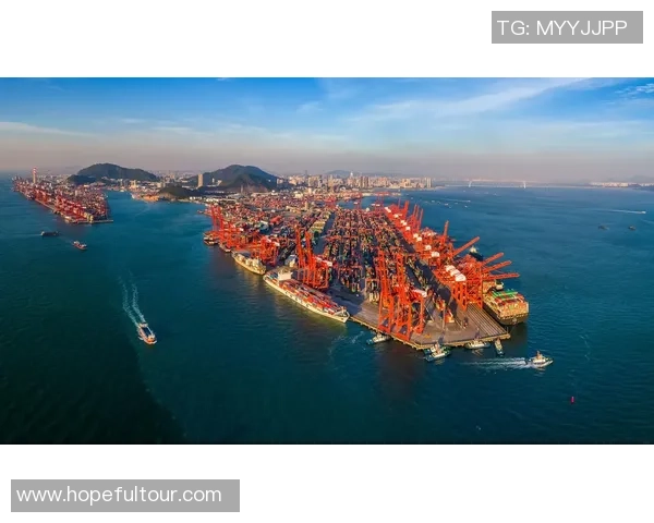 深圳乒乓球队在亚运会上的奋斗与突破之路全景回顾